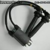 873-Bobine d'allumage haute tension KAWASAKI 1000 Tomcat