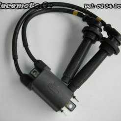 873-Bobine d'allumage haute tension KAWASAKI 1000 Tomcat